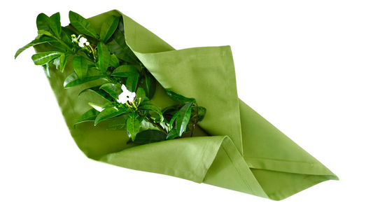 Cotton Blend Napkins ~ Grenadine Green ~ Set of 4